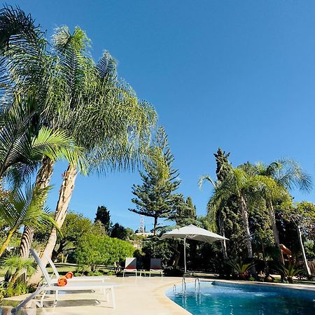 La Pina Verde Estepona Luaran gambar